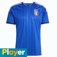 Men home player