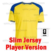 Ruidian 2026 Home Player patch 1