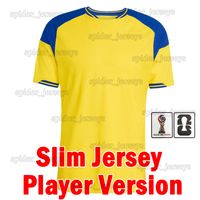 Ruidian 2026 Home Player patch