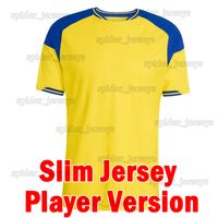 Ruidian 2026 Home Player