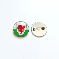 Wales stainless steel pin model (25mm)