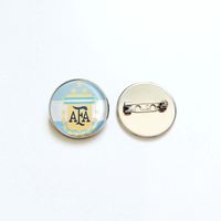 Argentine stainless steel pin model