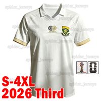 Nanfei 2026 Third patch RD*