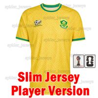 Nanfei 2026 Home Player patch M2/MQ*
