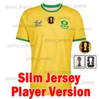 Nanfei 2026 Home Player patch M2/MQ* 1