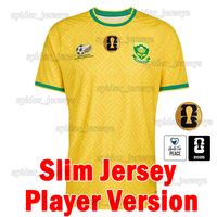 Nanfei 2026 Home Player patch M2/MQ* 3