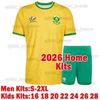 Nanfei 2026 Home kits MY*