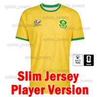 Nanfei 2026 Home Player patch M2/MQ* 2