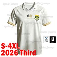 Nanfei 2026 Third patch RD* 1