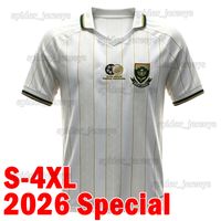 Nanfei 2026 Special Y* 1