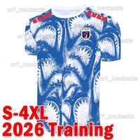 Fodejiao 2026 Training S*