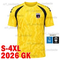 Fodejiao 2026 GK patch P8* 2